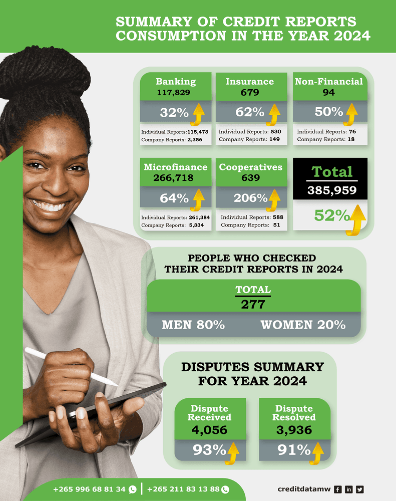 SUMMARY OF CREDIT REPORTS CONSUMPTION IN THE YEAR 2024