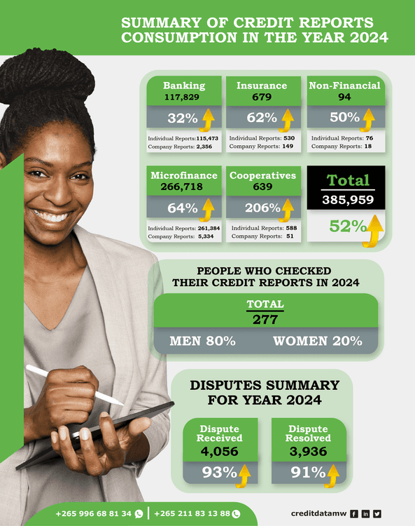 SUMMARY OF CREDIT REPORTS CONSUMPTION IN THE YEAR 2024
